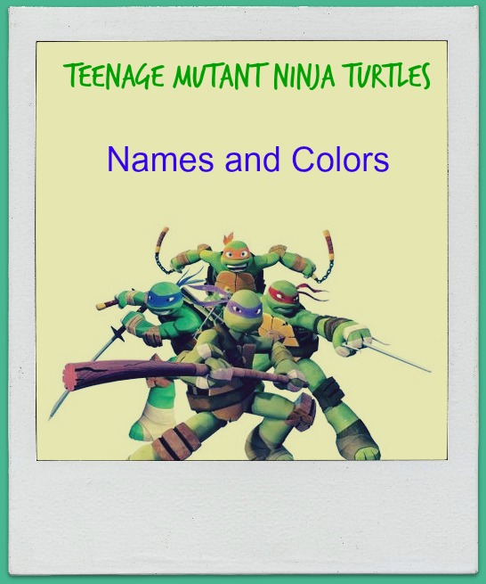 Teenage Mutant Ninja Turtle S Names Blue Purple Red Orange Online Fanatic