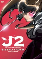 Top 10 Best Ninja Anime Series [Recommendations]