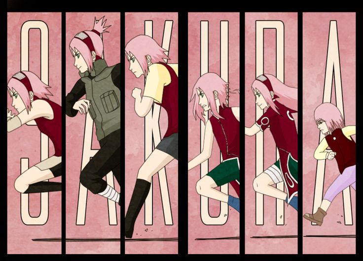 Sakura Evolution