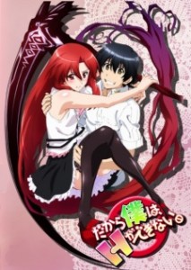 anime like highschool dxd