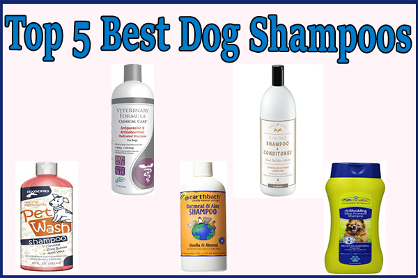 top rated dog shampoo