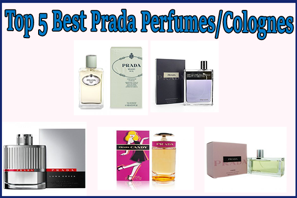 prada perfumes and colognes